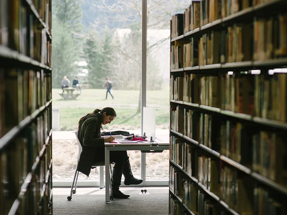 Étudiants travaillant dans une bibliothèque universitaire